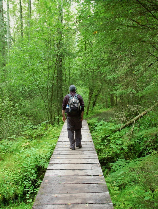 Tongass Rainforest Hiking Expedition